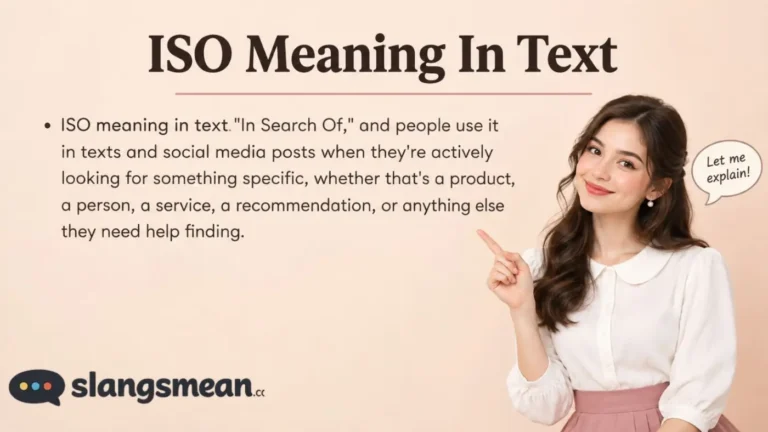 ISO Meaning In Text